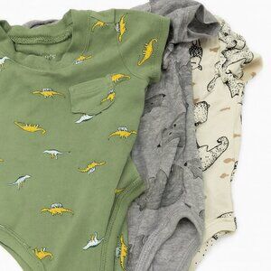 Baby Onesies Set – Dinosaur Print, Green/Gray/Cream, Size 3-6 Months